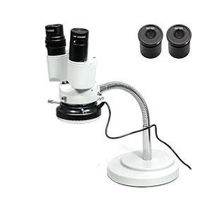 Stereo Microscope